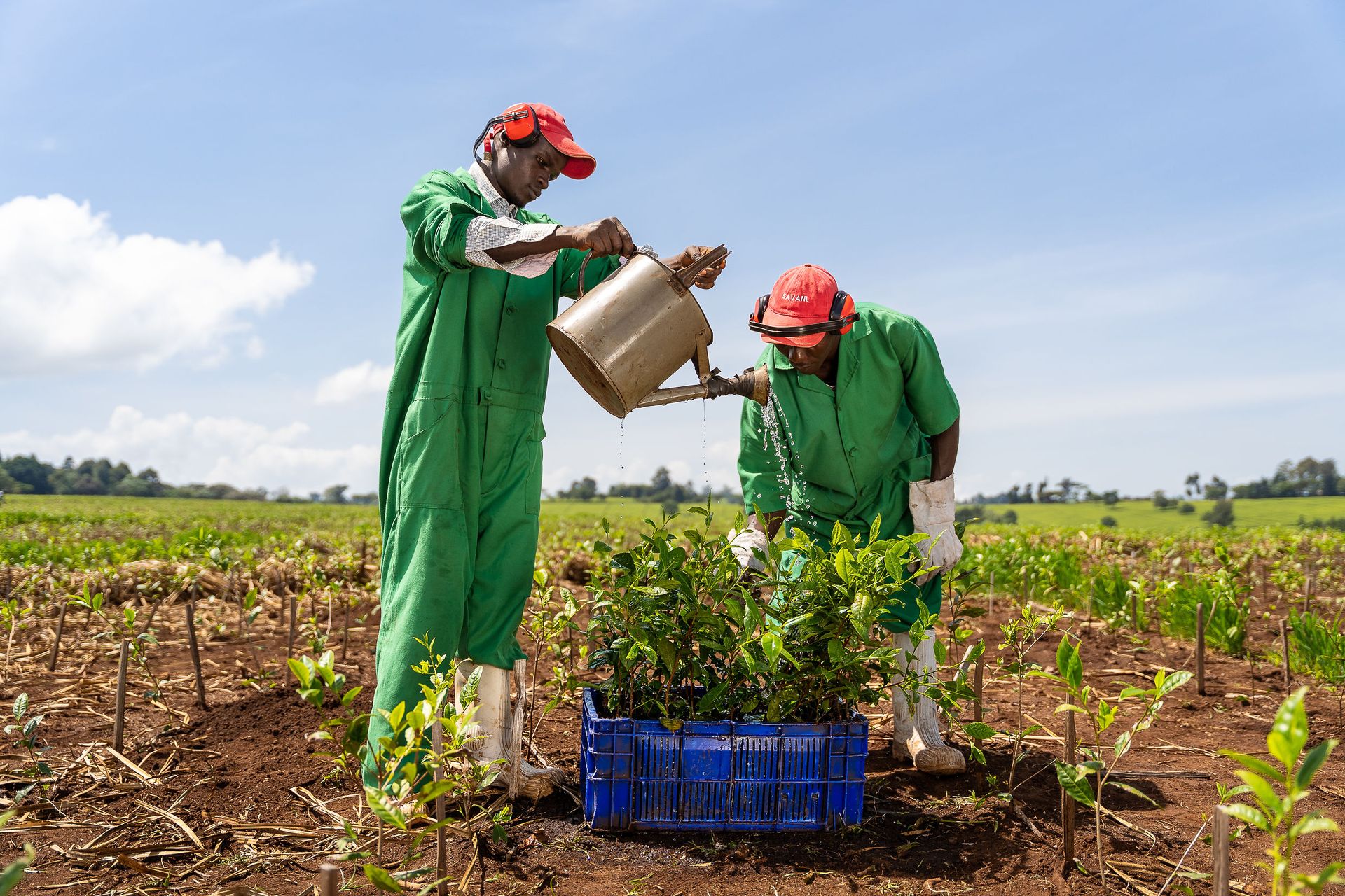 Professional documentary photo photographed by creative kapu