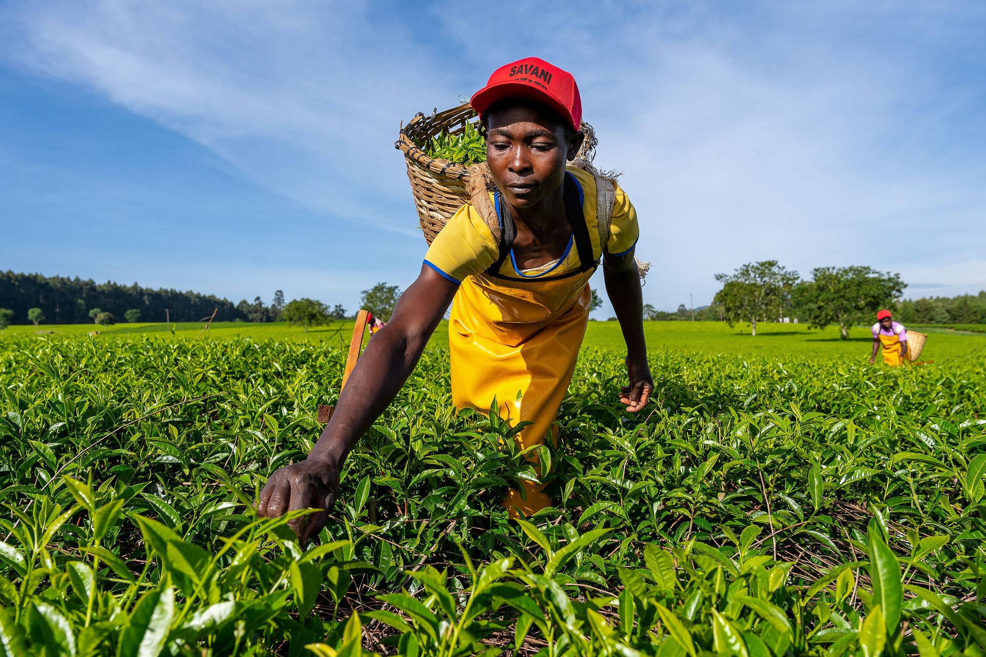 Professional documentary photo photographed by creative kapu