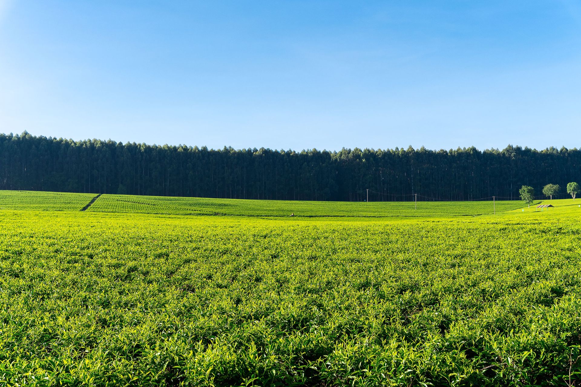 Professional documentary photo photographed by creative kapu