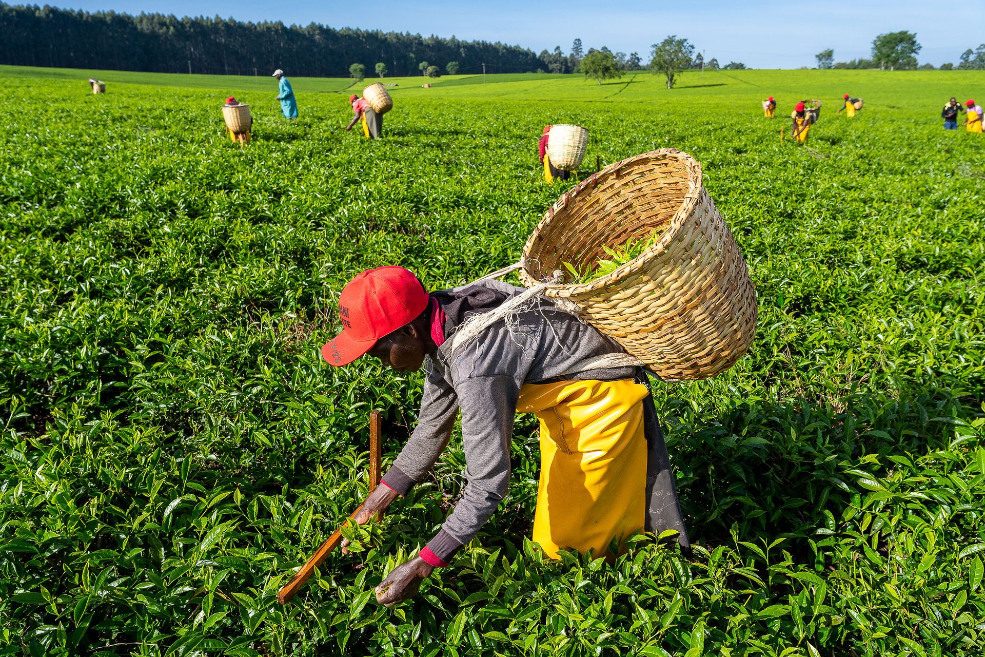 Professional documentary photo photographed by creative kapu