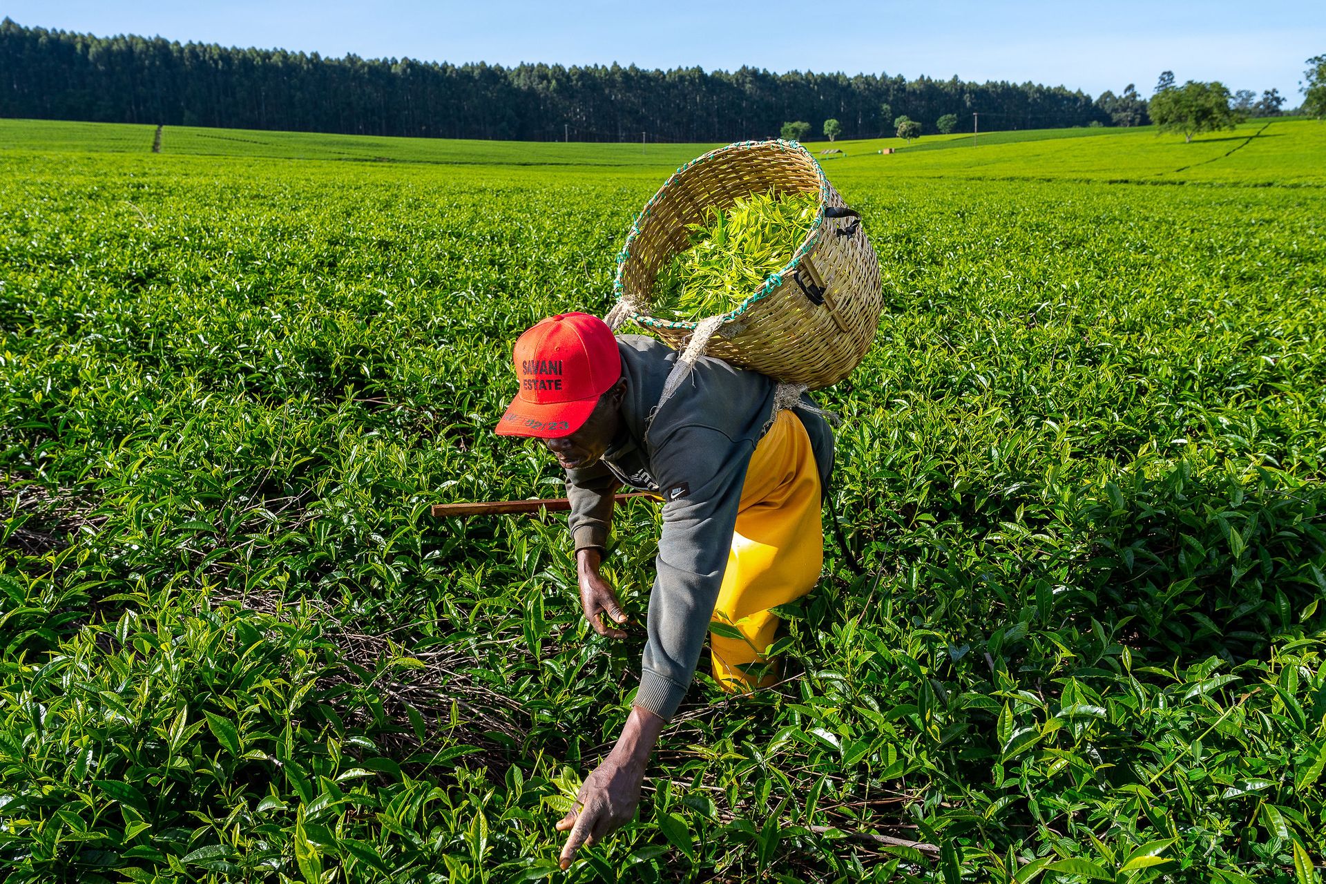 Professional documentary photo photographed by creative kapu