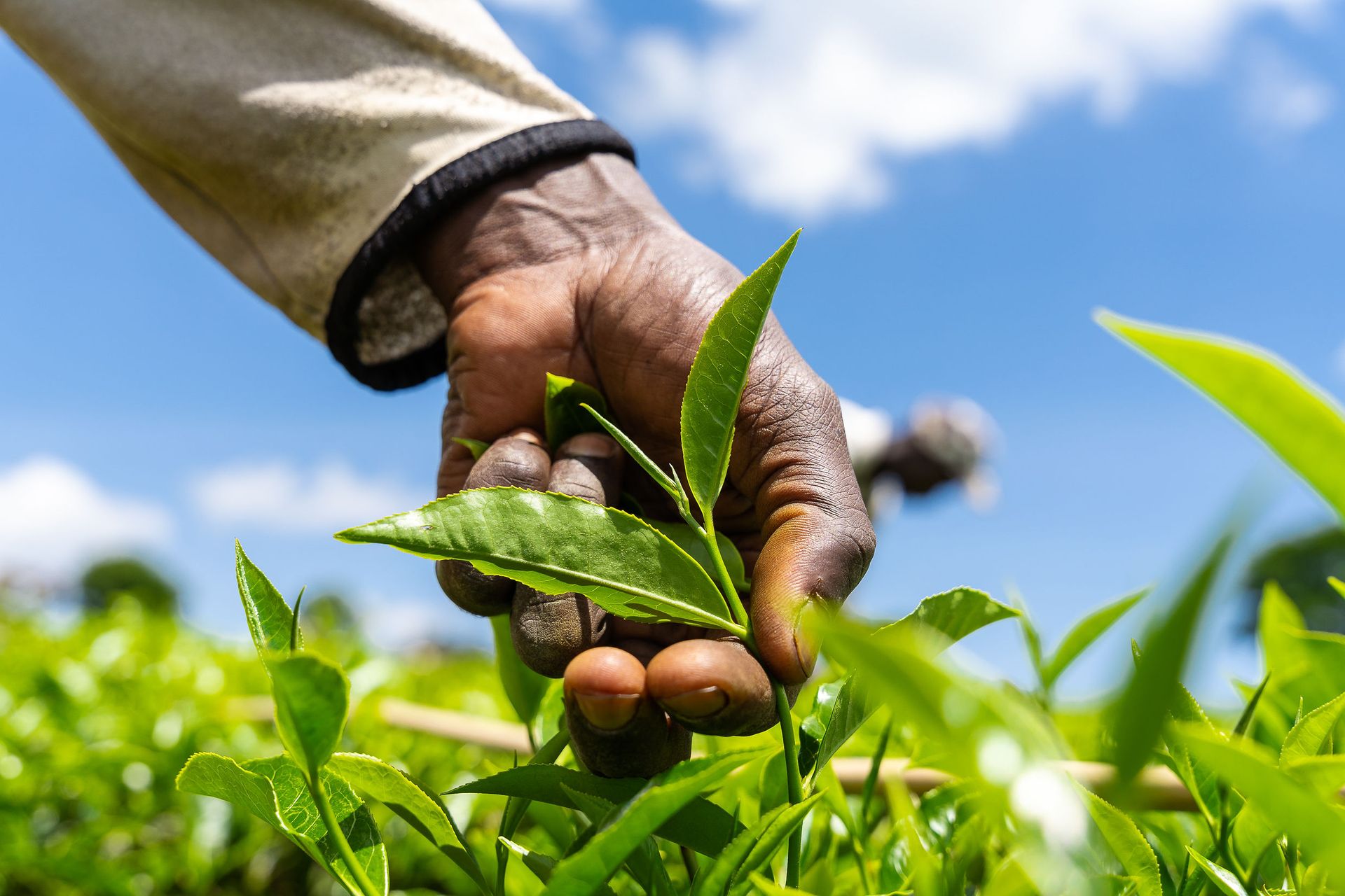 Professional documentary photo photographed by creative kapu