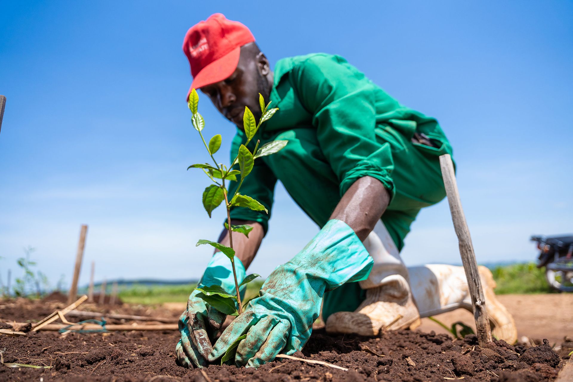 Professional documentary photo photographed by creative kapu