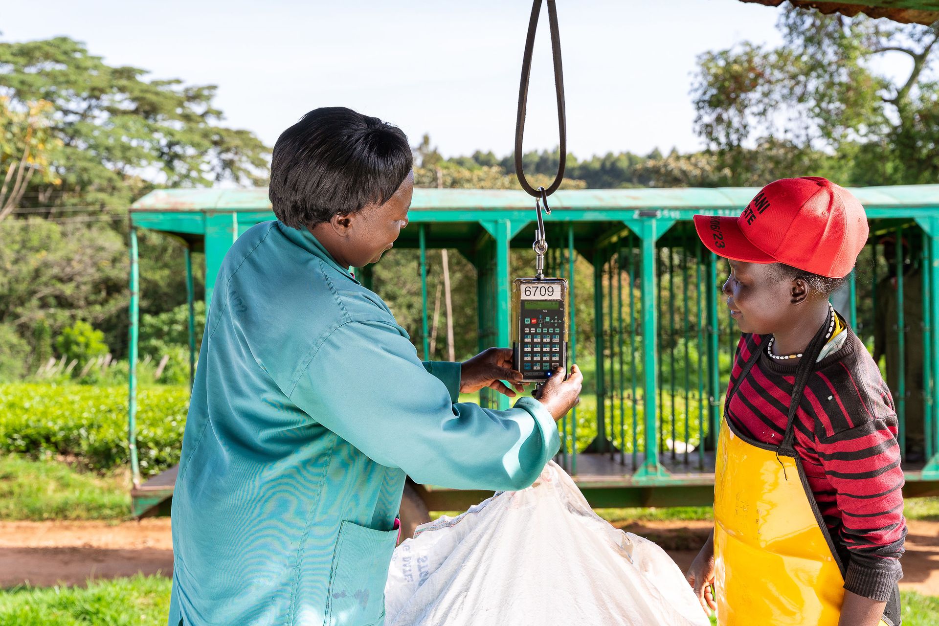Professional documentary photo photographed by creative kapu