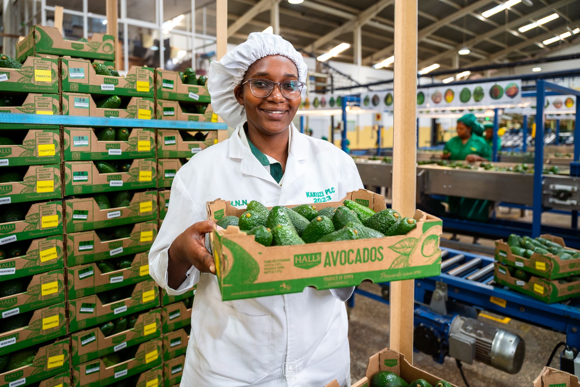 Professional documentary photo photographed by creative kapu