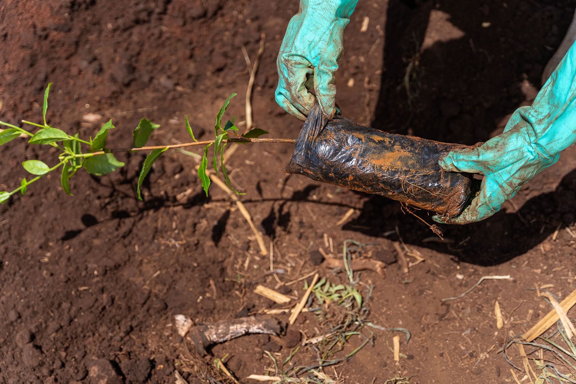 Professional documentary photo photographed by creative kapu